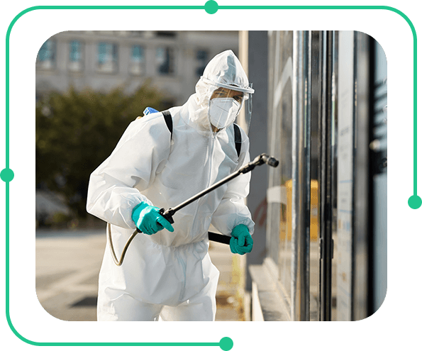 Pest Control Southall, Hayes & Hounslow expert